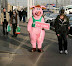 Eat cows - It's a sin to eat pork.