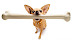 Puppy - Average size puppy with a king size bone.