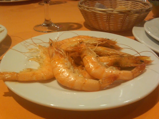 IMG00318-20110116-1551.jpg