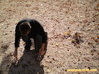 petanque-2007-14.jpg