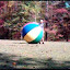 VID 00009-20091024-1315.3GP VID 00009-20091024-1315.3GP
