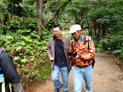 tangkuban perahu, kawah domas, volcano, bandung