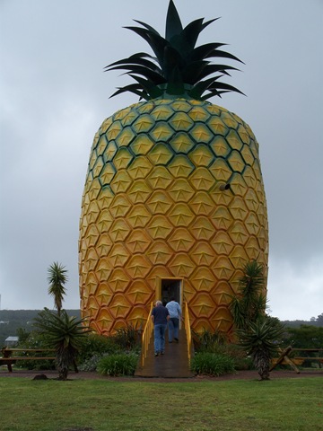 [12-04-2009 006 Bathurst - The Big Pineapple[4].jpg]