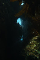 IMG_5431.JPG