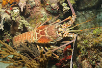 IMG_2677.JPG