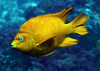 IMG_3824.JPG