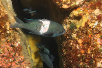 IMG_4265.JPG