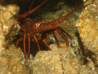 IMG_4779.JPG