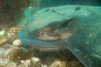anacapaJuly2010-7.jpg