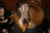 OKO 2009 078.jpg