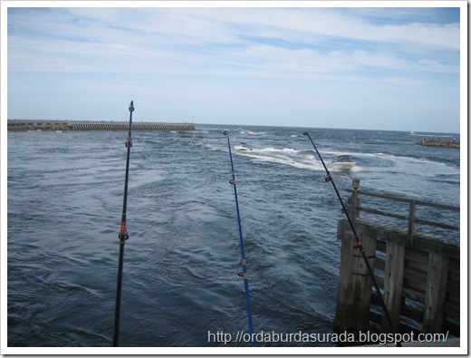 IMG_0024 IMG_0024