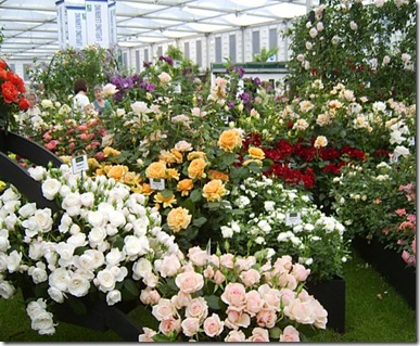 RHS Chelsea Flower Show London 2010-AK
