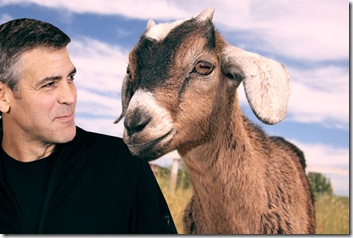 The men who stare at goats