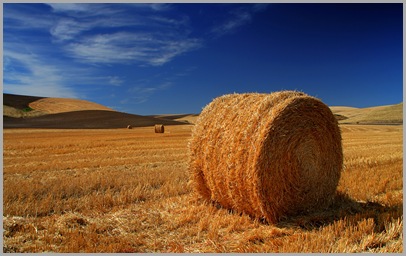The Palouse, Washington State, USA The Palouse, Washington State, USA