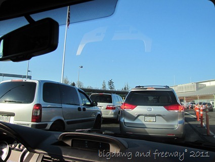 IMG_5710 IMG_5710