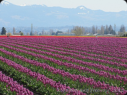 IMG_5720 IMG_5720