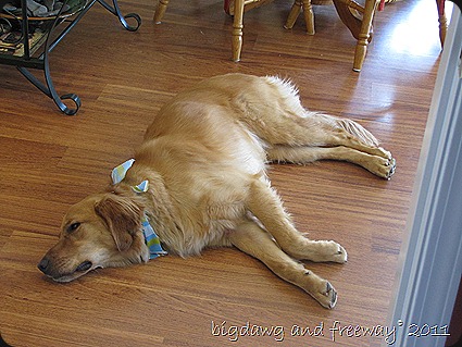 IMG_5777 IMG_5777