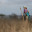 safari_2997.JPG