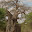 safari_3029.JPG