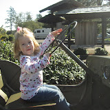 IMG_1868.JPG