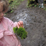 IMG_2278.JPG