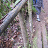 IMG_2307.JPG