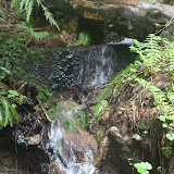 IMG_2035.JPG