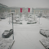 Snowfall 2010