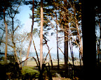 20090430132900_VQ1015E.JPG