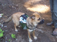 20090815_092422.JPG Photo