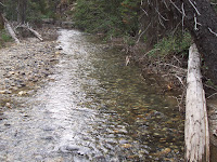 20090904_163845.JPG
