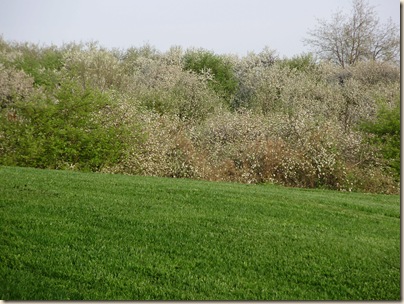April2010 329