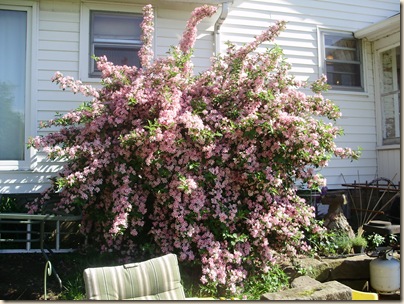 May2010 165