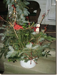 Dec2009 034
