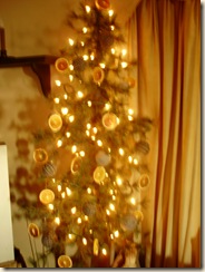 Dec2009 046