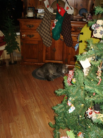 [Dec2009 066[2].jpg]