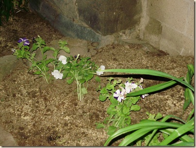 June2010 034