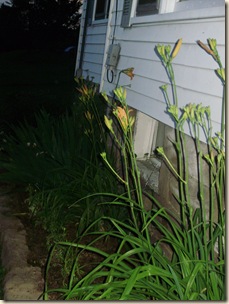 June2010 036