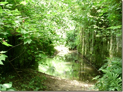June2010 123