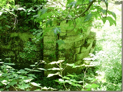 June2010 124