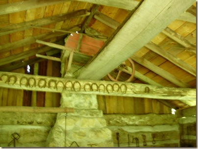 July2010 014