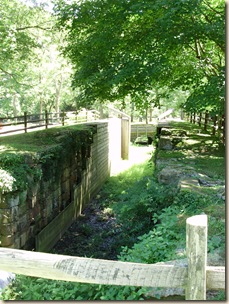 July2010 021