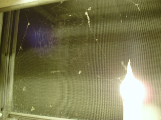 [July20101232.jpg]