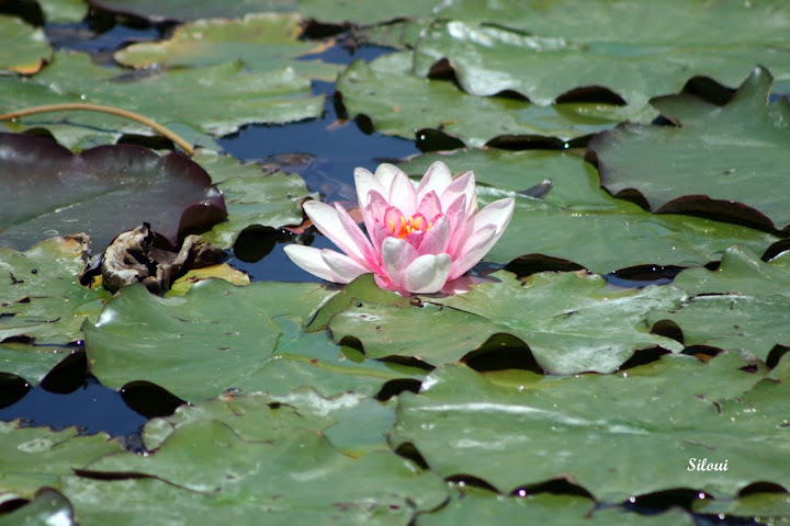 Photo%2020100299