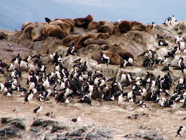 [ushuaia 024[4].jpg]