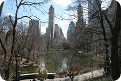 IMG_5681 IMG_5681