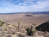 Joshua Tree: Lost Horse Mine