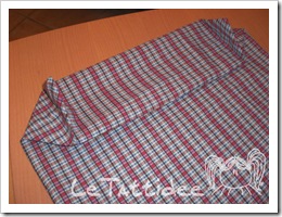 CIMG4080 CIMG4080