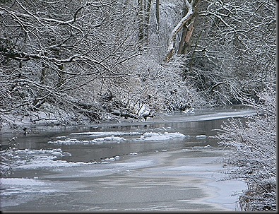 frozen milk2010 004 frozen milk2010 004