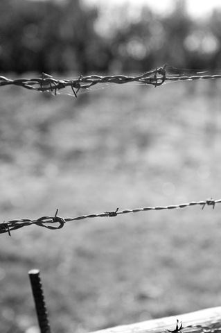 [B&W-5[2].jpg]